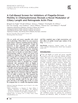 A cellbased screen for inhibitors of flagelladriven motility in