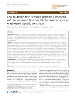 Low-mutation-rate, reduced-genome Escherichia coli: an improved