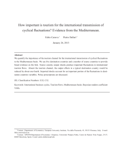 How important is tourism for the international transmission of cyclical