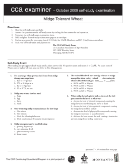 exam - Midge Tolerant Wheat