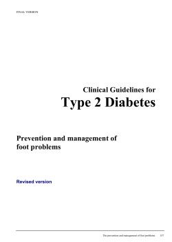 CG10 Type 2 diabetes - footcare: Full guideline, appendices 11-26