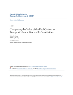 Computing the Value of the Real Option to Transport Natural Gas
