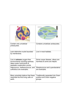 Contain only unicellular prokaryotes. Contains unicellular