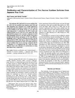 Purification and Characterization of Two Sucrose Synthase Isoforms