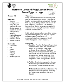 Northern Leopard Frog Lesson Plan: From Eggs to