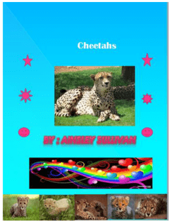 (113 kilometers)! Also, cheetahs can run 20 football fields in just 7