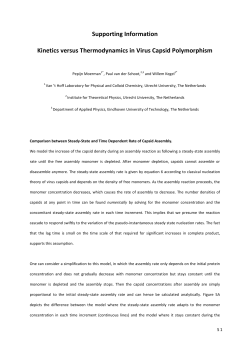 Supporting Information Kinetics versus Thermodynamics in Virus