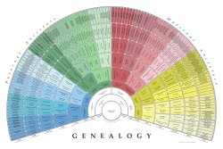 9 Generation Fan Pedigree Chart