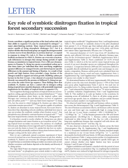 Key Role of Symbiotic Dinitrogen Fixation in Tropical Forest