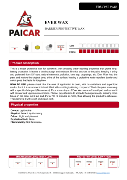 EVER WAX - PaiCristal