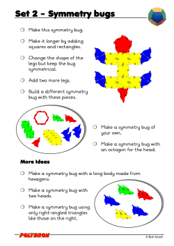 Symmetry bugs Set 2 -