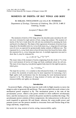 moments of inertia of bat wings and body