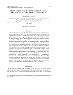 63 vision in the ctenid spider cupiennius salei