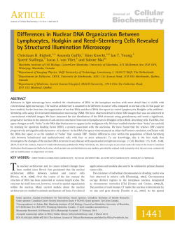 Differences in Nuclear DNA Organization Between Lymphocytes