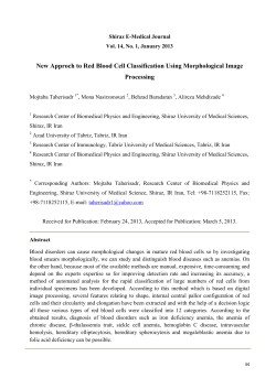 New Approch to Red Blood Cell Classification Using Morphological