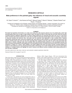 Mate preference in the painted goby: the influence of visual and