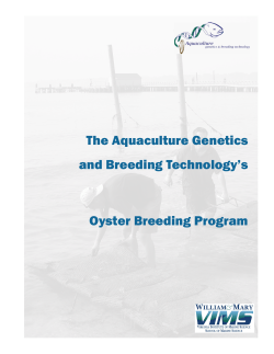 ABC Oyster Breeding Manual