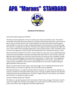 Standard of the Marans - the American Poultry Association