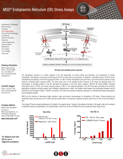 ER Stress - Meso Scale Discovery