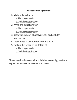 Chapter 4 test Questions 1. Make a flowchart of a. Photosynthesis b