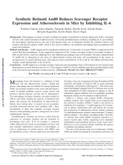 Synthetic Retinoid Am80 Reduces Scavenger Receptor Expression