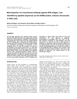 Microinjection of a monoclonal antibody against SPN antigen, now
