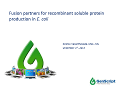 Fusion partners for recombinant soluble protein production in E. coli