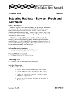 Estuarine Habitats - Between Fresh and Salt Water - SUNY-ESF
