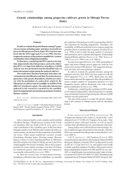 Genetic relationships among grapevine cultivars grown in - Vitis-vea