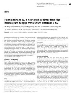 Pennicitrinone D, a new citrinin dimer from the halotolerant fungus