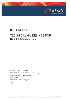 B2B Procedure Technical Guidelines for B2B Procedures v2.1