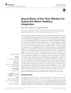 Neural Basis of the Time Window for Subjective Motor