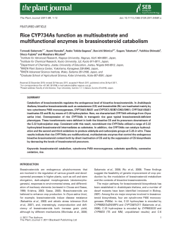 Rice CYP734As function as multisubstrate and multifunctional