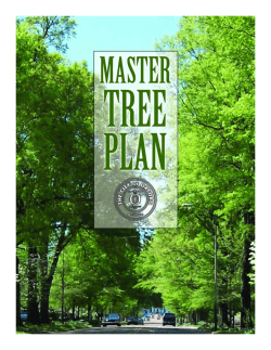 Master Tree Plan