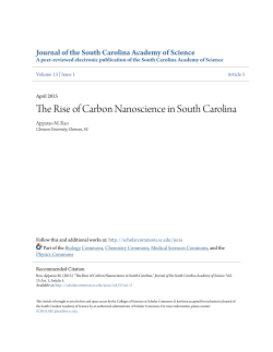 The Rise of Carbon Nanoscience in South Carolina