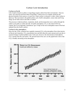 Carbon Cycle Introduction