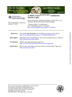 A Mimic of p21 Ameliorates Murine Lupus