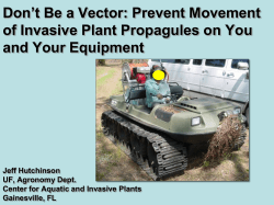 Methods to Limit Spore Dispersal of Old World Climbing Fern