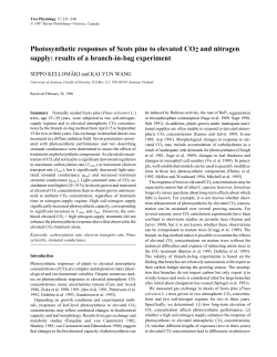 Photosynthetic responses of Scots pine to elevated CO2 and nit