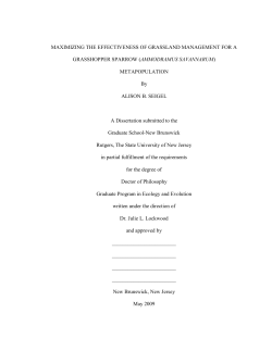 MAXIMIZING THE EFFECTIVENESS OF GRASSLAND