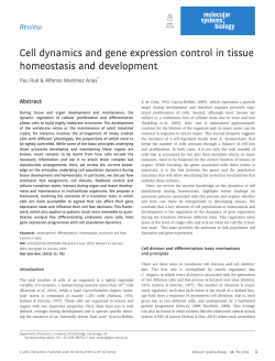 Cell dynamics and gene expression control in tissue homeostasis