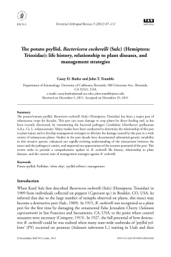 The potato psyllid, Bactericera cockerelli (Sulc