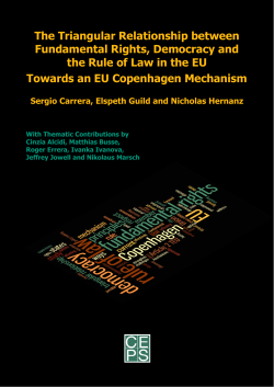 The Triangular Relationship between Fundamental Rights