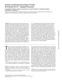 Kinesin- and Myosin-driven Steps of Vesicle Recruitment for Ca2