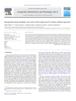 Intraspecific basal metabolic rate varies with trophic level in rufous