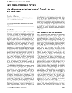 NEW EMBO MEMBER`S REVIEW Life without transcriptional