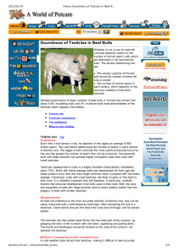 Home-Soundness of Testicles in Beef Bulls
