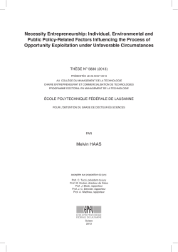Necessity Entrepreneurship: Individual, Environmental and Public