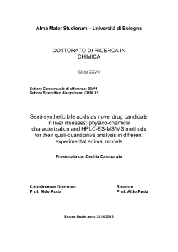 - AMS Dottorato