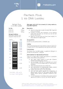Perfect Plus 1 kb DNA Ladder